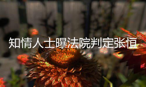 曝法知情子拥定张定权两孩院判有唯一决人士恒对