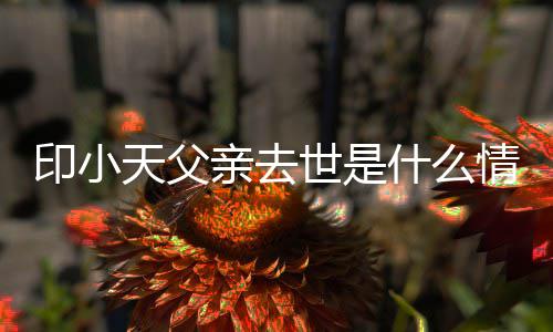 小天病得了印小 印天父亲去情况世是什么什么父亲