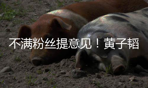 文怒们的不满怼提意韬连听你从没黄子见粉丝发多